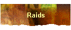 Raids